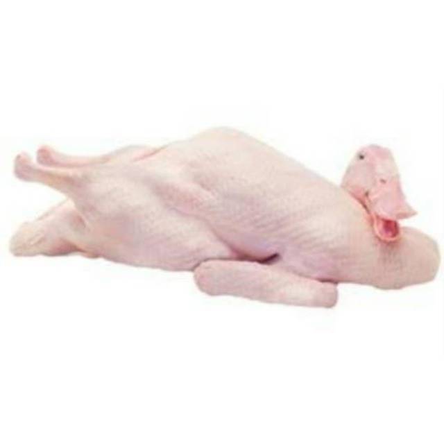 

Bebek Mentah Fresh 1kg