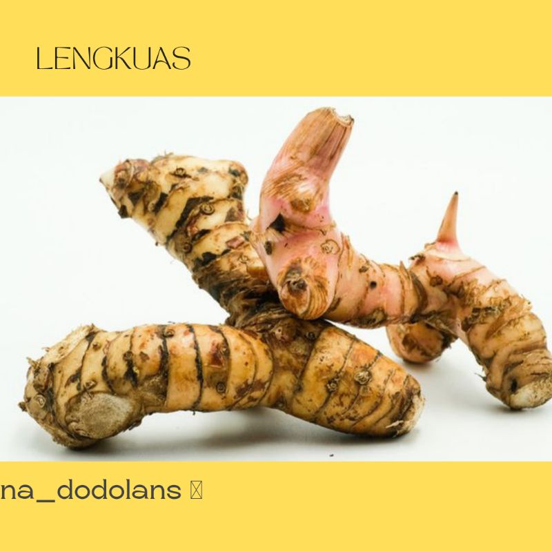 

Lengkuas/ bumbu dapur/rempah-rempah
