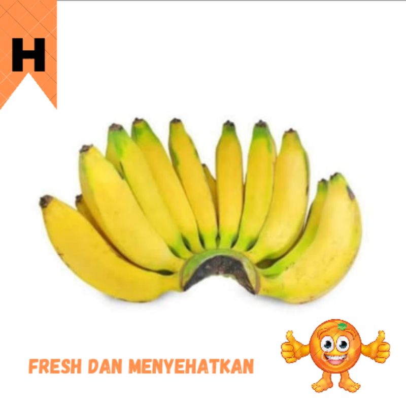 

BUAH PISANG RAJA BULUH 1 SISIR