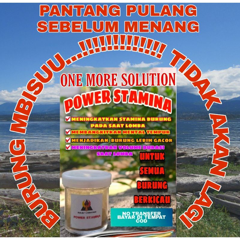 

TNT HERBAL BURUNG MACET BUNYI