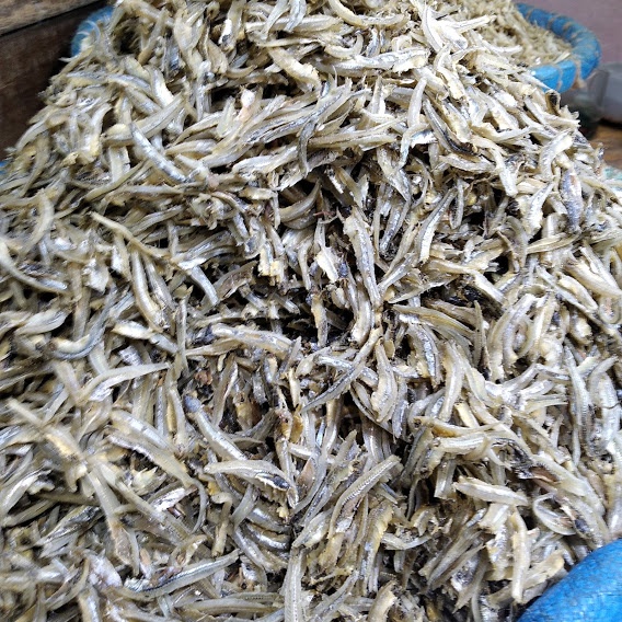 

Ikan Teri Belah Medan 500 Gram Bisa COD Wiendalove