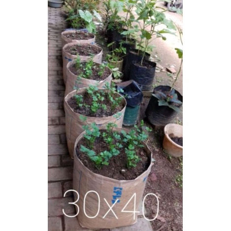 NOBLEN POLYBAG UKURAN 30X40