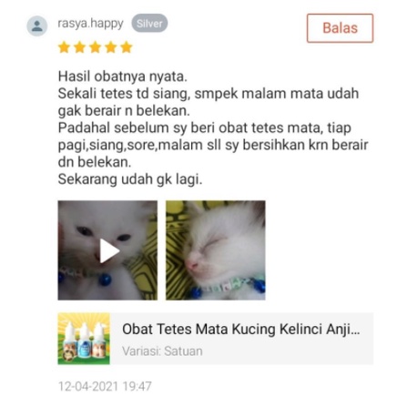 Obat Tetes Mata Kucing Kitten Kelinci Anjing Anti Iritasi Kucing Obat Belekan