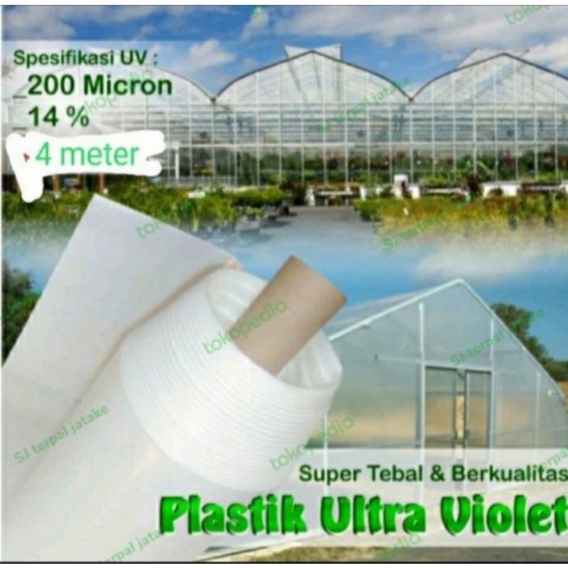plastik UV lebar 4 meter × panjang 6 meter ketebalan 200 micron