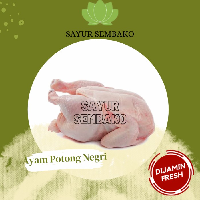 

Ayam Potong Segar