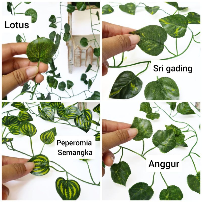 AL92 (12PCS) Daun Rambat 2m Lotus Peperomia Semangka Anggur Sri Gading Plastik Hiasan Backdrop