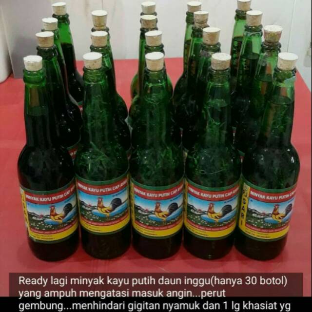 Minyak kayu putih daun inggu (buakchau)
