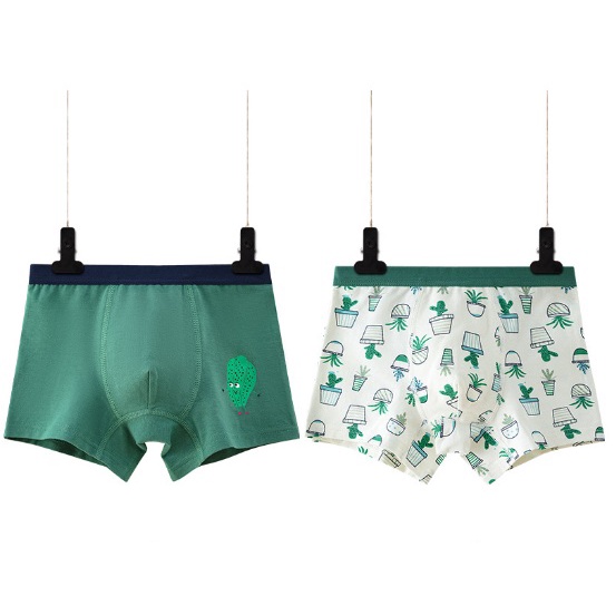 Celana Dalam KATUN boxer Impor CD Underwear ANAK Import Premium tebal berkualitas ISI 2