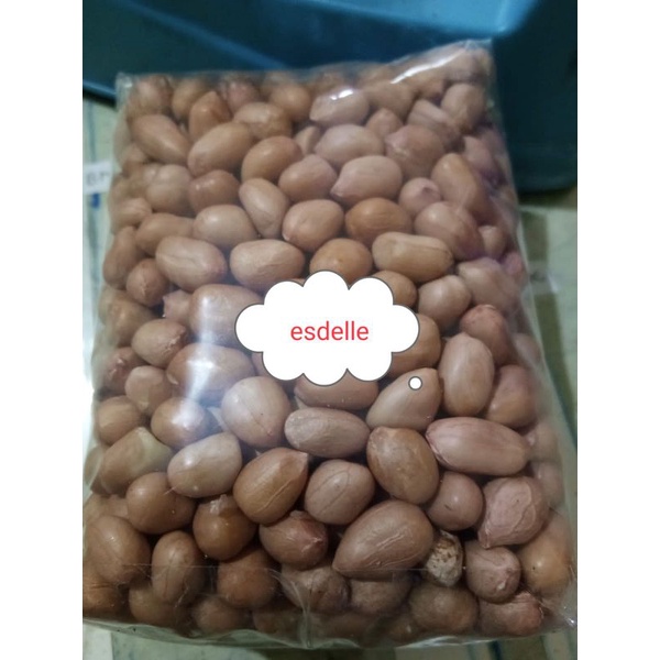 

Kacang tanah