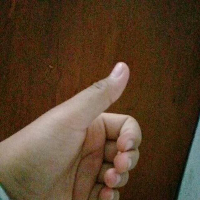 New Gress Fiber Pagar Bambu Panda Glossy