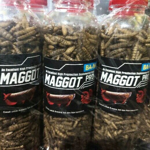 Pakan Ikan Maggot Bana Spirulina