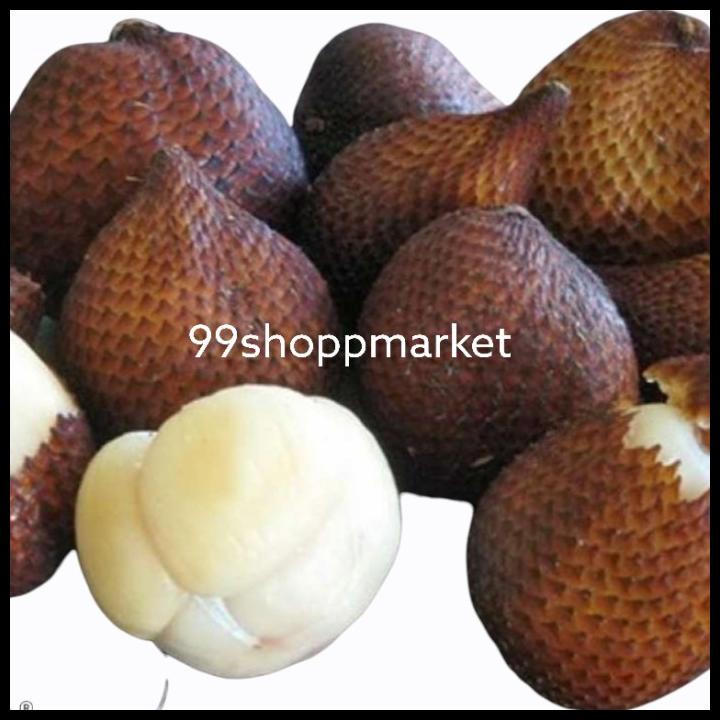 

Salak Gula Pasir Bali 1 Kg