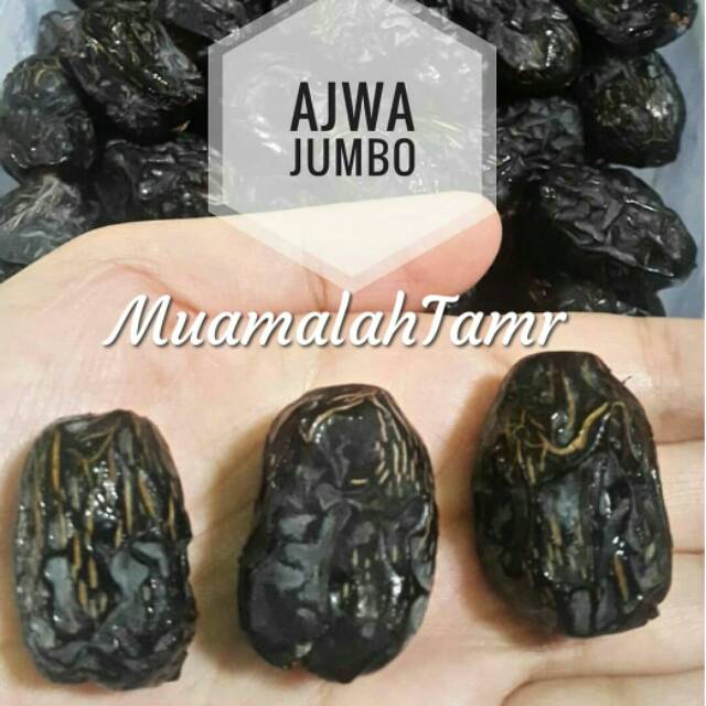 

KURMA AJWA ASLI MADINAH