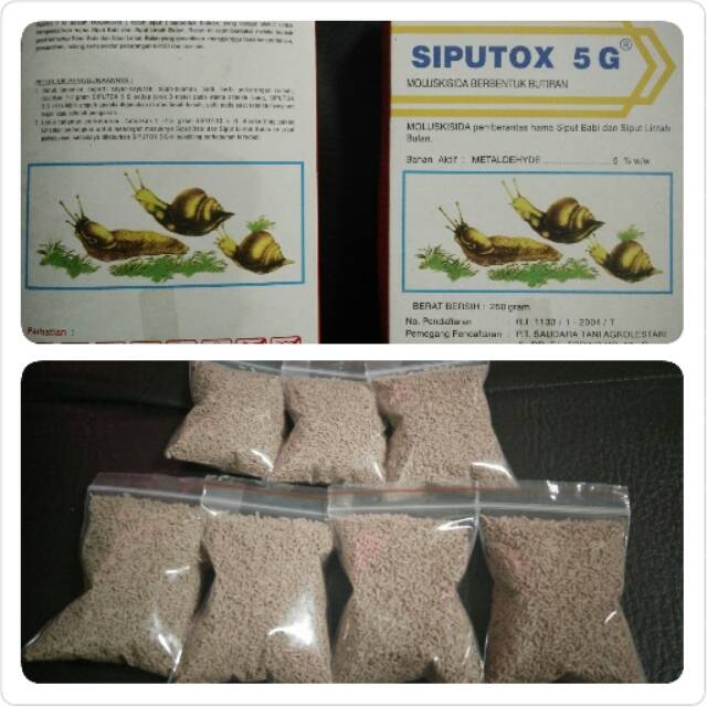 Pembasmi hama siput (Siputox 5G)