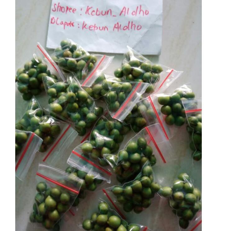 BESTSELLER biji lohansung mawar