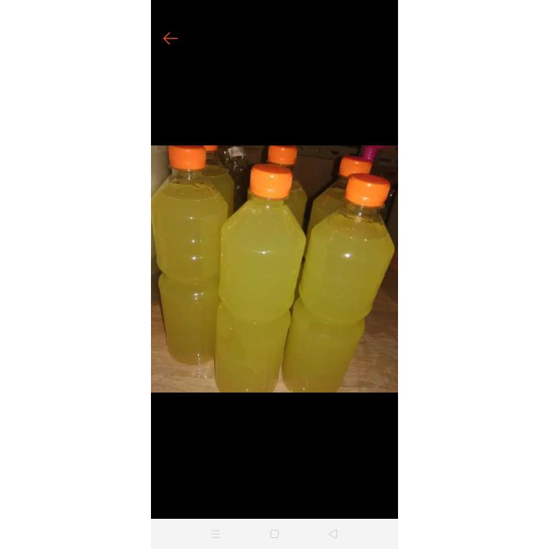 susu kefir bening sapi