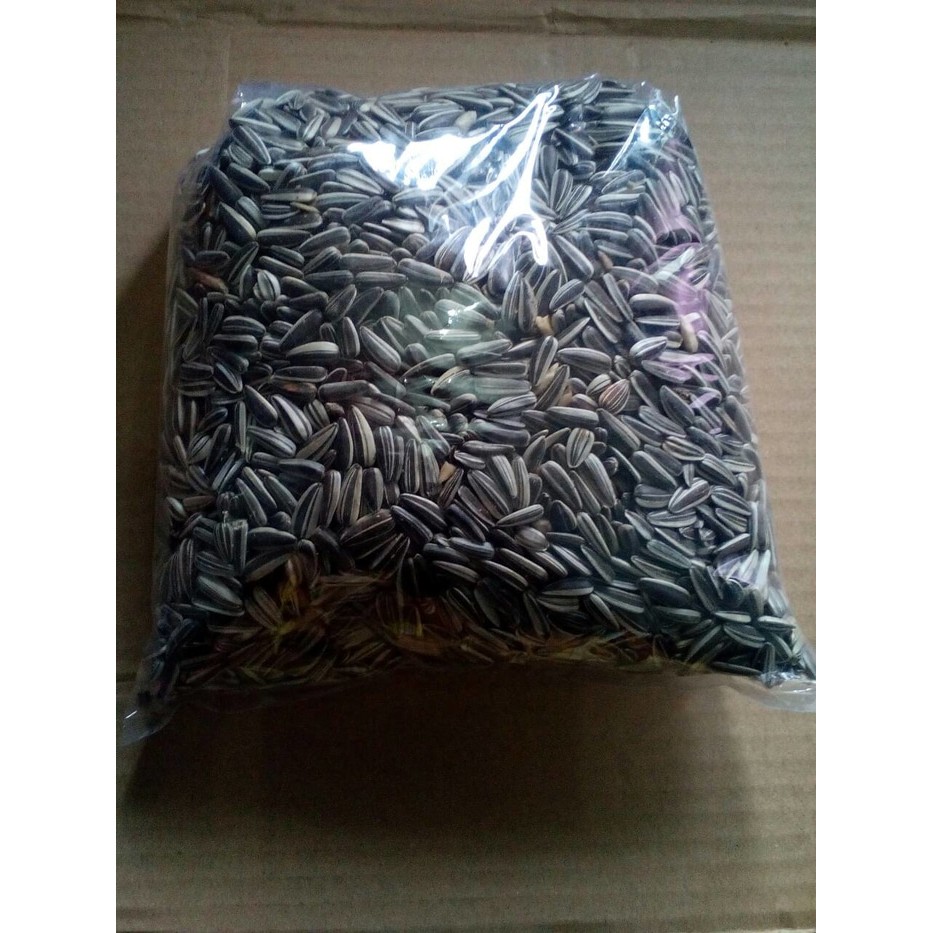 kwaci matahari mentah 1kg