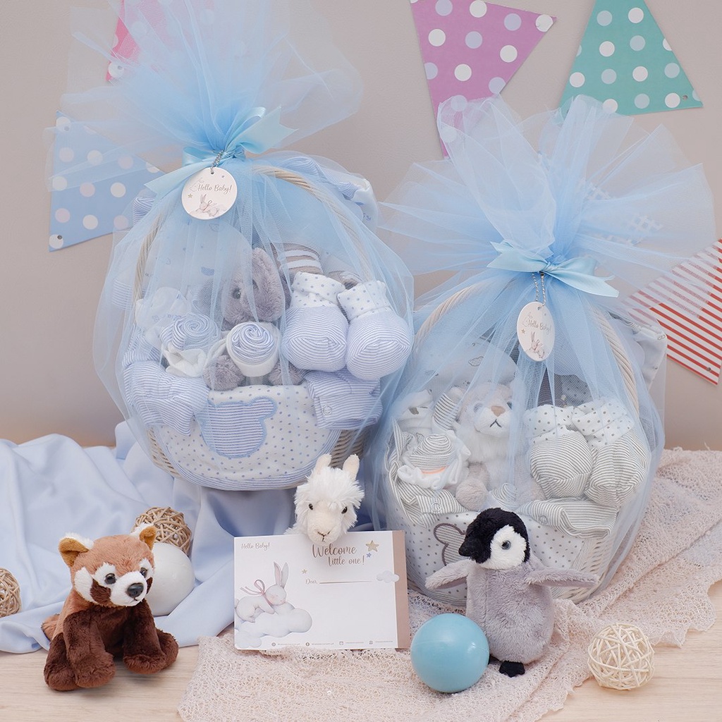 BARU LIO034 (Boys) Parcel Premium Hello Baby Hampers Gift 0-3 months