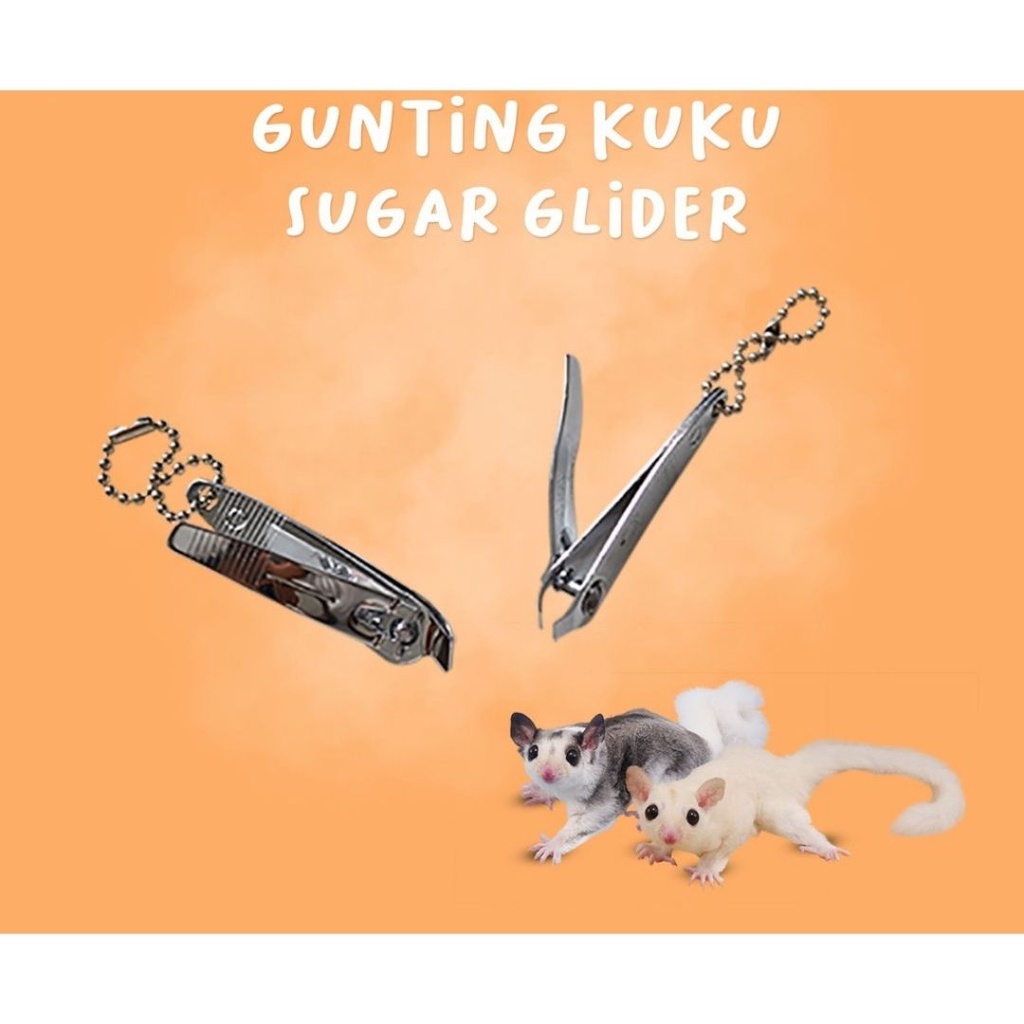 GUNTING KUKU MIRING - Gunting Kuku Kitten Kucing Monpai Sugar Glider Kelinci FEZONE