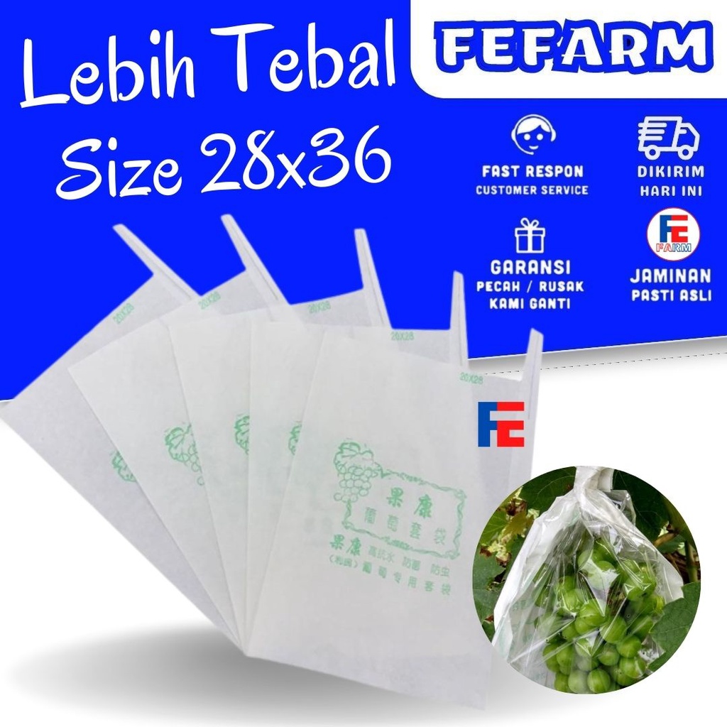 Pembungkus Buah Tembus Pandang Fruit Cover Anggur Transparan Waterproof 28 x 36 FEFARM