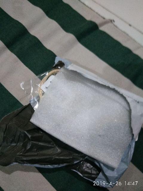 Spesimen Tanaman Kering Gelang Kaca Bola Dandelion Gypsophila Girlfriends Gift
