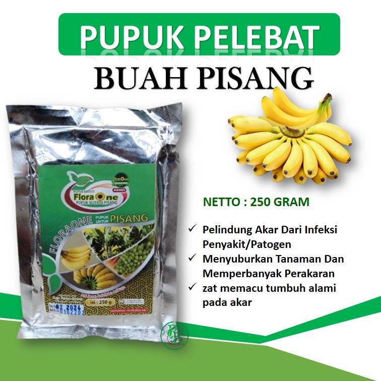 Pupuk Hayati pisang varigata, Boster Pohon Buah pisang Tahan Penyakit tanaman
