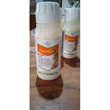 rumpas herbisida pengendali gulma bawang merah, padi dan sayur