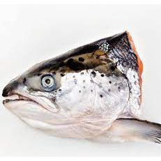 

Kepala Salmon/Salmon Head