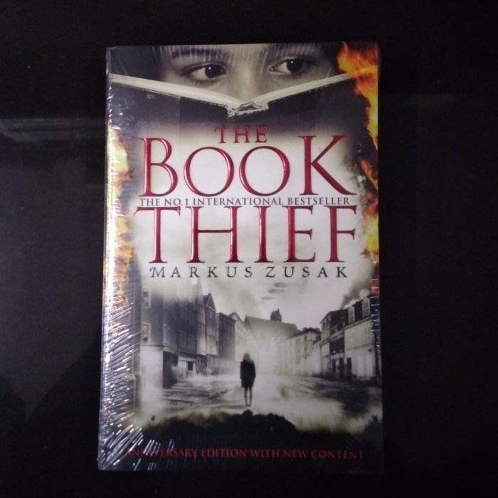 

MUST HAVE!! THE BOOK THIEF - 9781909531611 TERMURAH