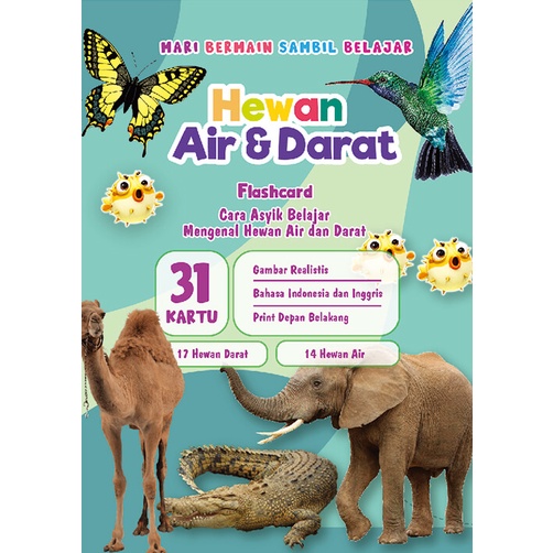 Flash Card Vidi Hewan Air dan Darat - Kartu Edukasi Belajar Anak Bergambar - Konsep Studio Original