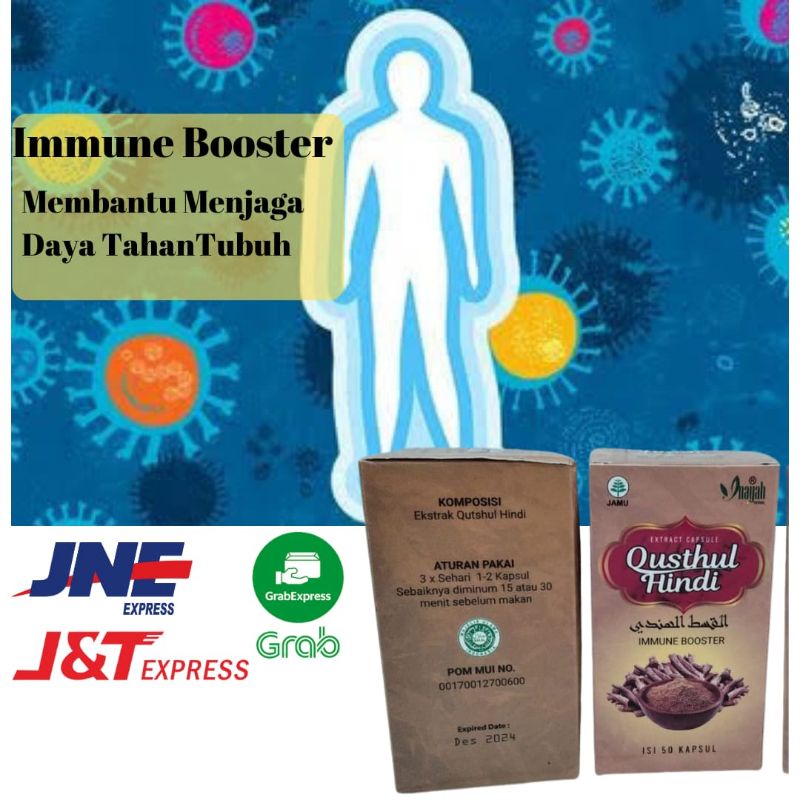 Qusthul Hindi Original Herbal Asma Radang Paru Qust Quts Qist Al Hindi Qisthul Qusthul Kustul