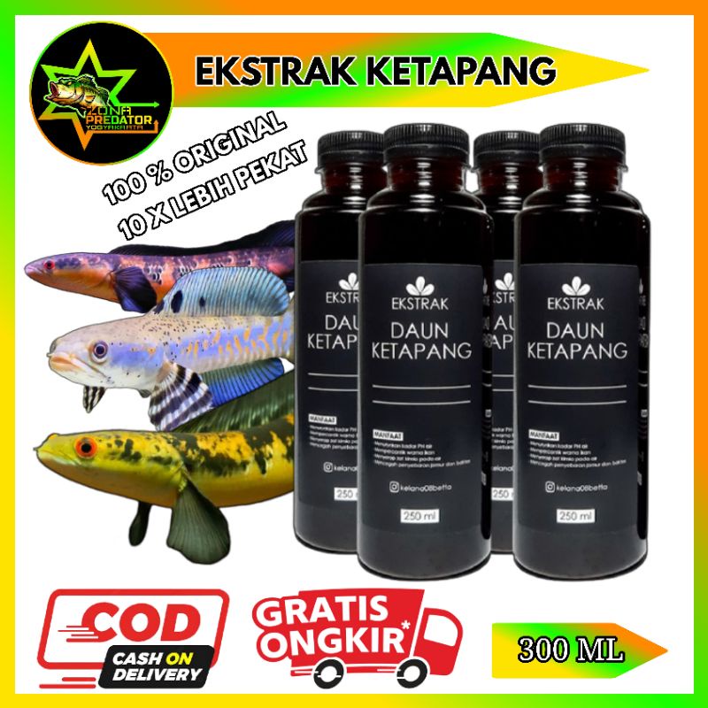 EKSTRAK KETAPANG SUPER PEKAT 300ML