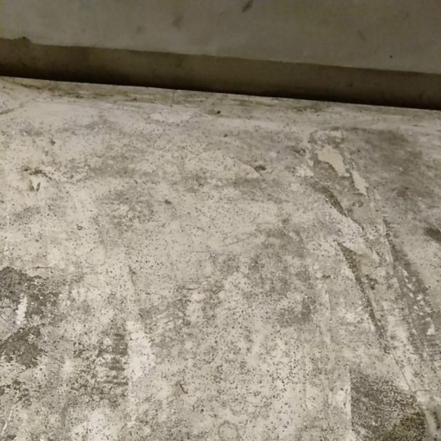 Sunlight Eceran 2000