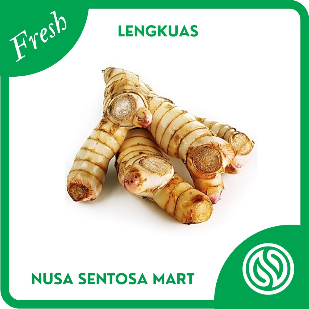 

Bumbu Lengkuas Segar – 250g