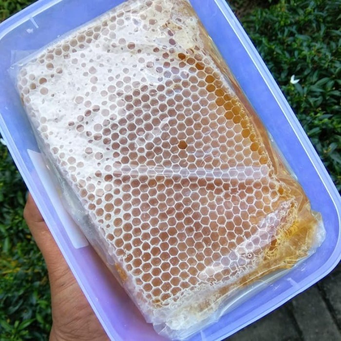 

02 Madu Sarang Perbox 500Gr Ds51Ghg