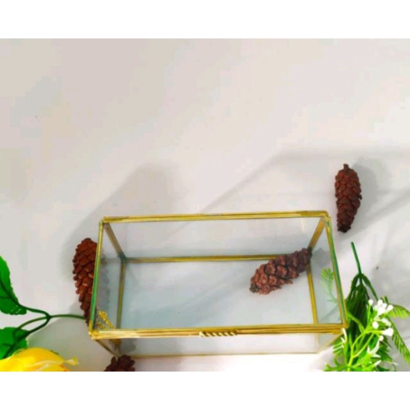 best seller box uang/box mahar/box terarium