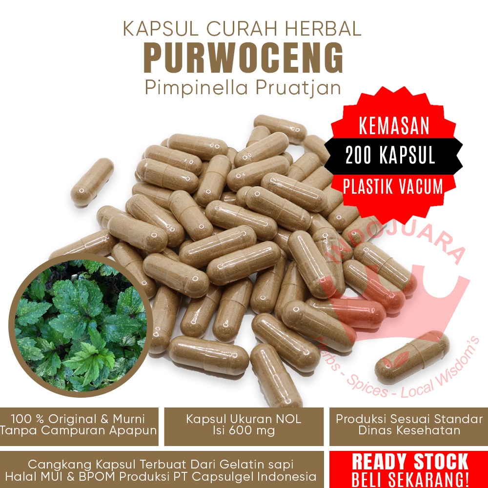 200 Kapsul PURWACENG Kapsul Herbal Pembangkit Libido Penyubur Sperma Pria Wanita