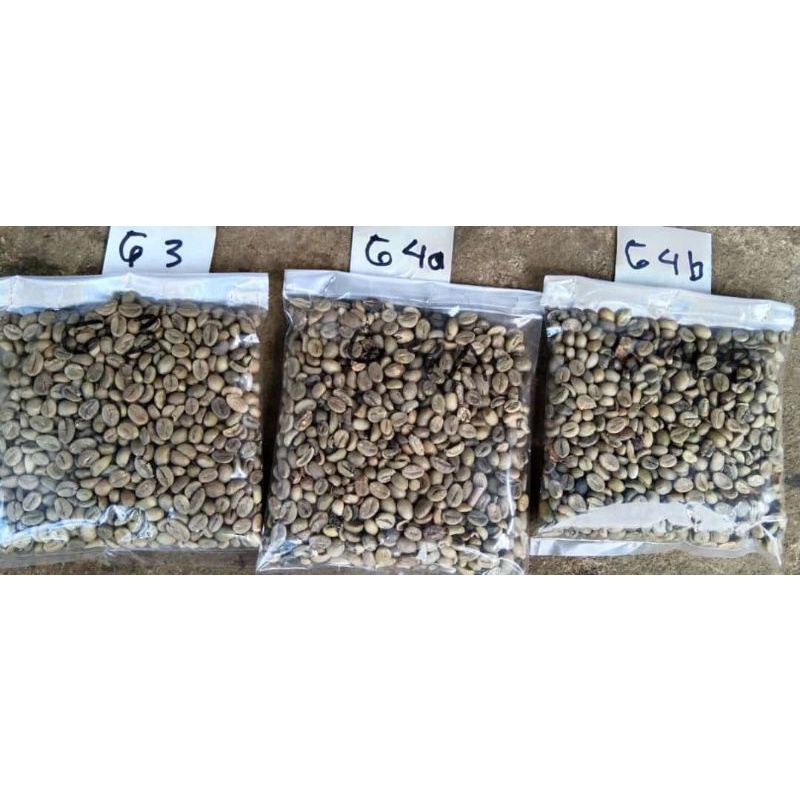

grade 1 Robusta Temanggung