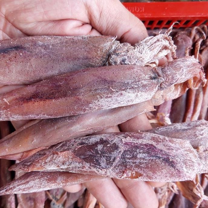 

Ikan Cumi Asin Ss Gepeng Kualitas Super