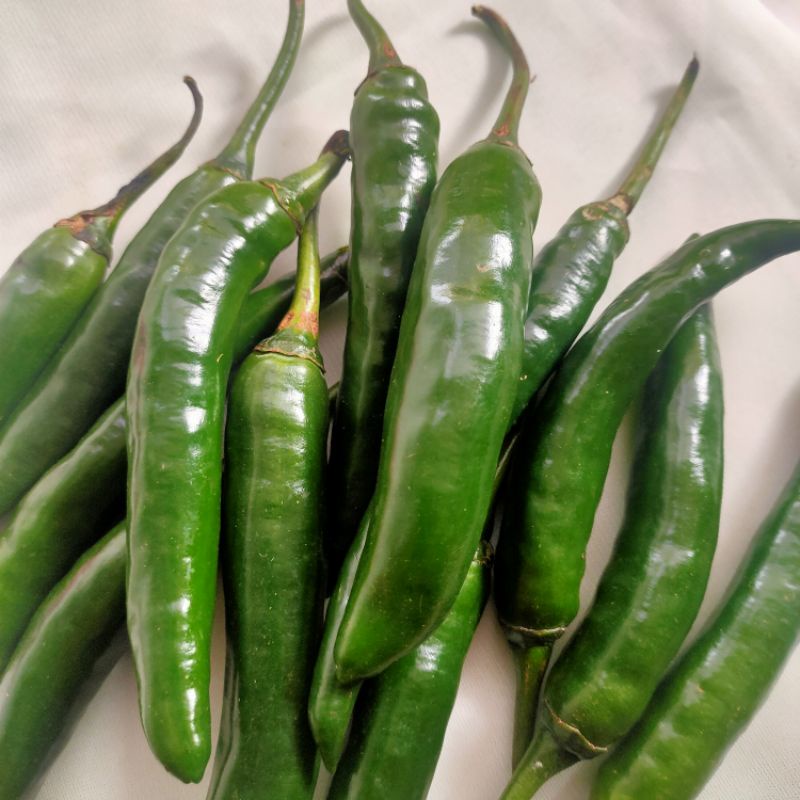 

cabe ijo gede 100gram