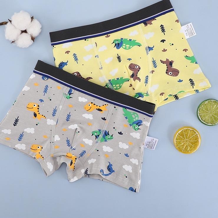Terkini CB0CD Kikidoo Celana Dalam Boxer Anak Anak Katun Premium Dino Full Colour Sempak Anak Cowok 