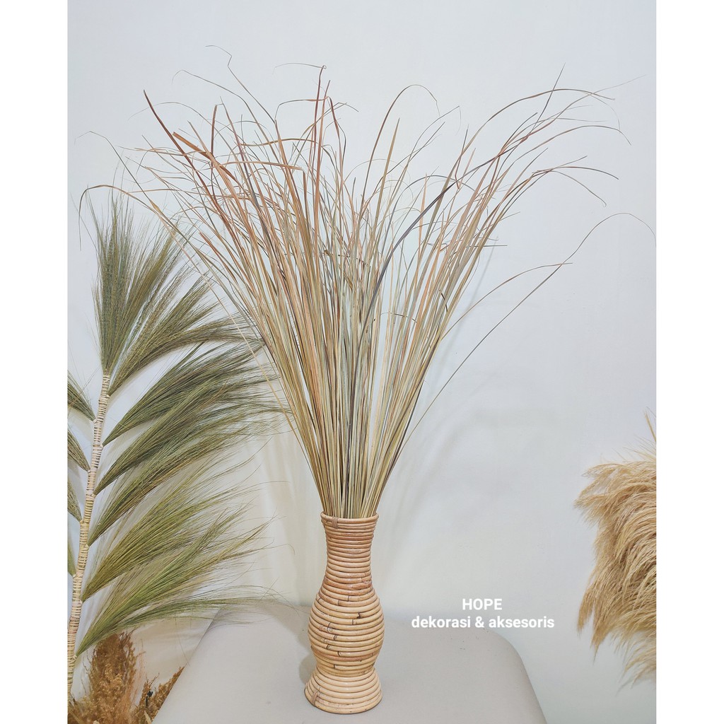 DAUN KERING DEKORASI (DAUN SERE)