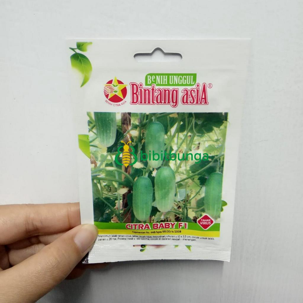 Jual Benih Bibit Biji Timun Mentimun Lalap Citra Baby F Cap Bintang Asia Shopee Indonesia