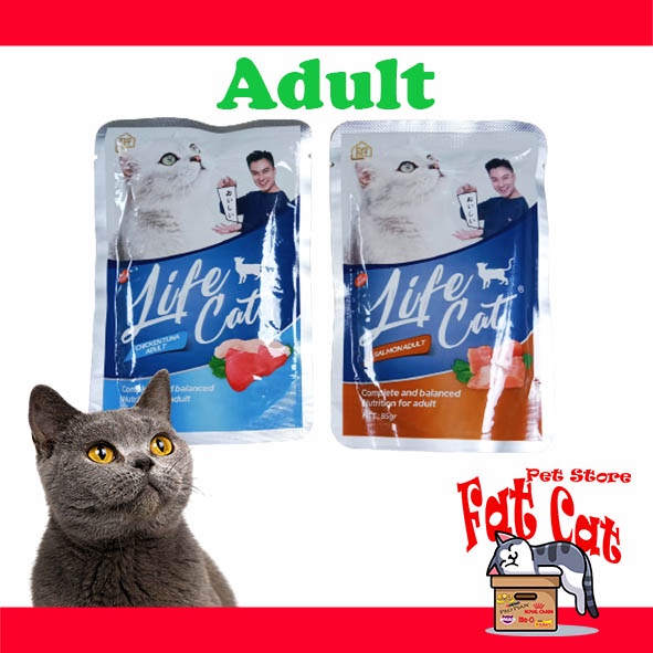 LIFE CAT POUCH SASET ADULT Makanan Kucing  basah All Variants (85gram)