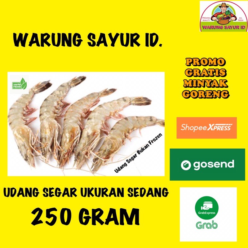 

UDANG SEGAR UKURAN SEDANG 250 GRAM | IKAN ONLINE|IKAN SEGAR