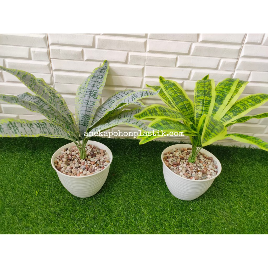 Pohon Daun Lidah Mertua Tepi Tanaman Artificial Hiasan Imitasi Plastik