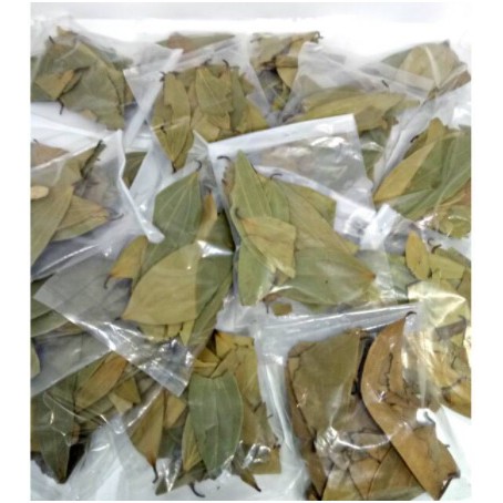 

bayleaf (Daun waraqah / ghor )