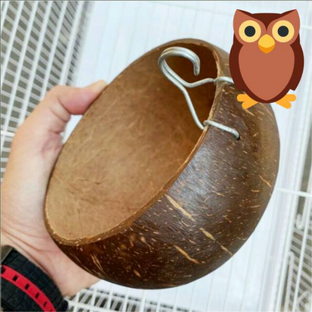 

BATOK KELAPA WADAH PAKAN BURUNG MURAI DAN AYAM.
