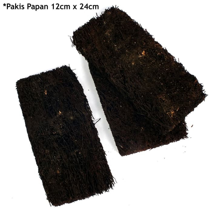 Pakis Papan Media Tanam Anggrek Besar 12 Cm X 24 Cm