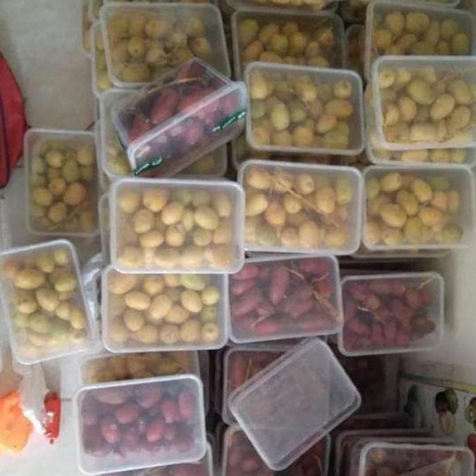 

Bgn Kurma Muda Arkanamarketht